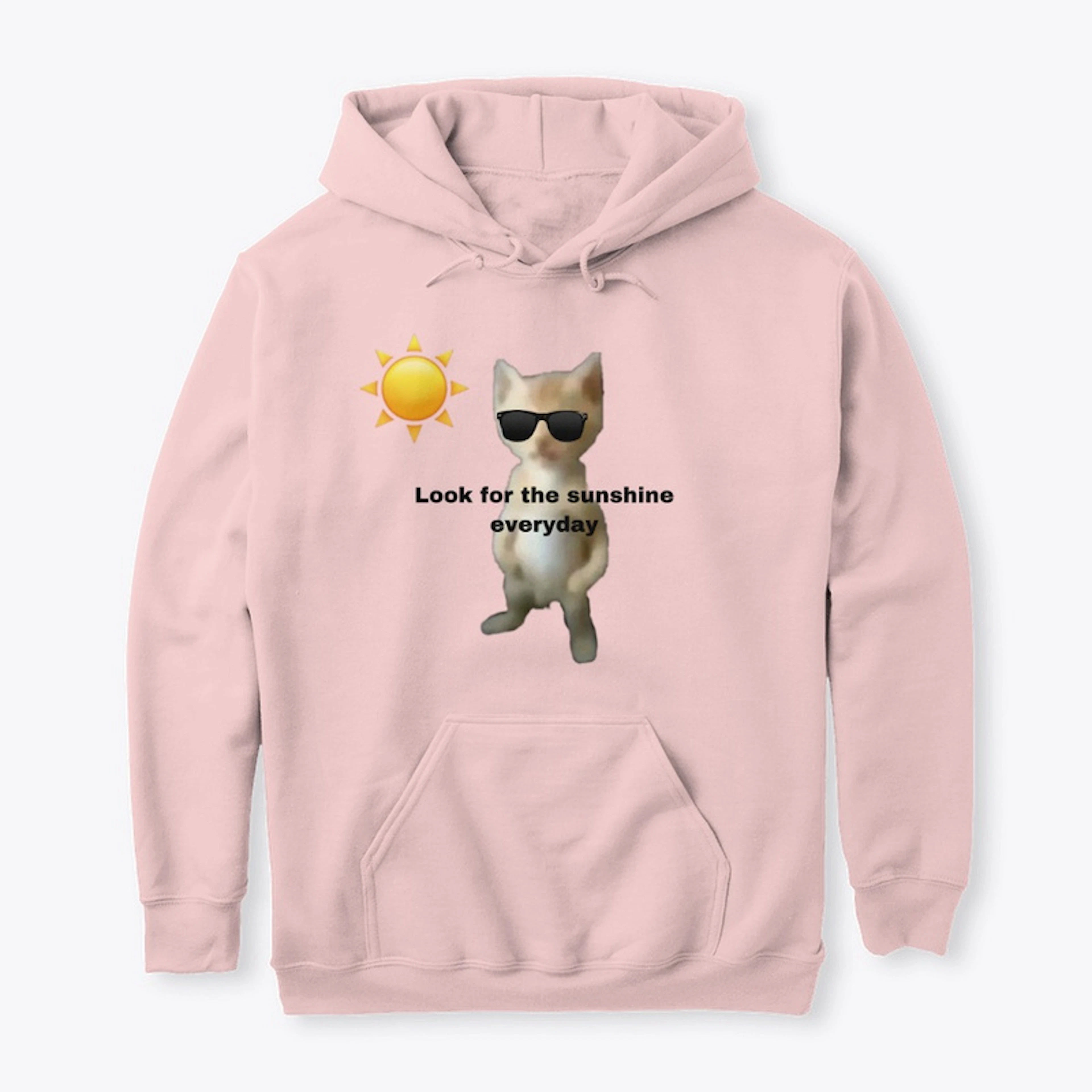 "look for the sunshine everyday" fun cat
