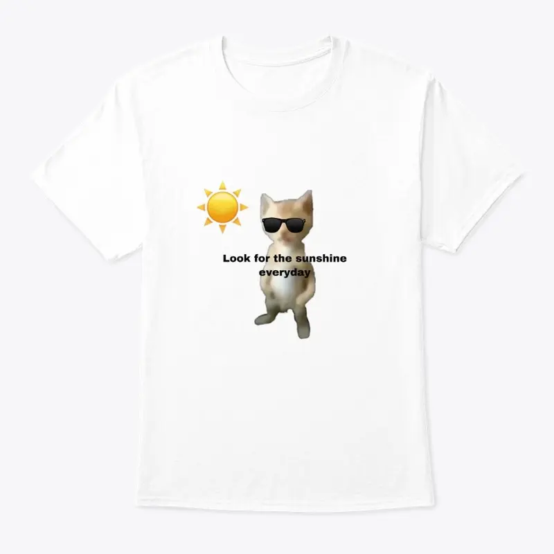 "look for the sunshine everyday" fun cat